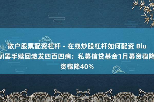 散户股票配资杠杆 - 在线炒股杠杆如何配资 Blue Owl罢手赎回激发四百四病：私募信贷基金1月募资骤降40%