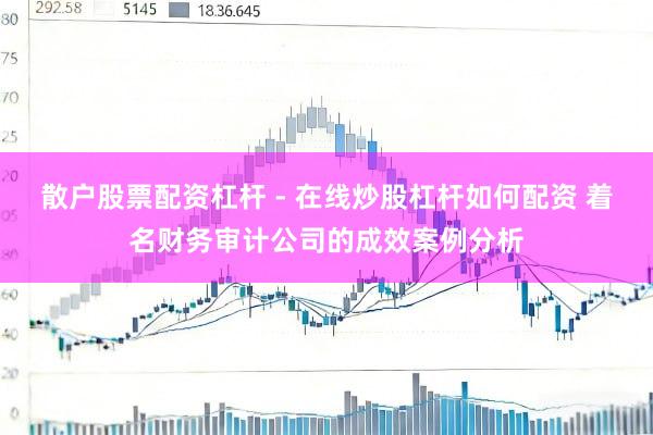 散户股票配资杠杆 - 在线炒股杠杆如何配资 着名财务审计公司的成效案例分析